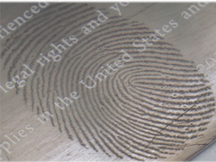 Sistema di metallizzazione ad alto vuoto, unità di rivestimento per evaporazione termica per l'imaging delle impronte digitali